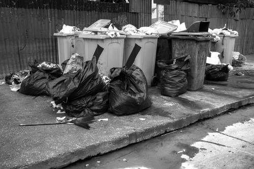 Garden Waste Removal Services in Sydenham