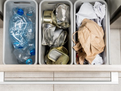 Process of Garden Waste Removal